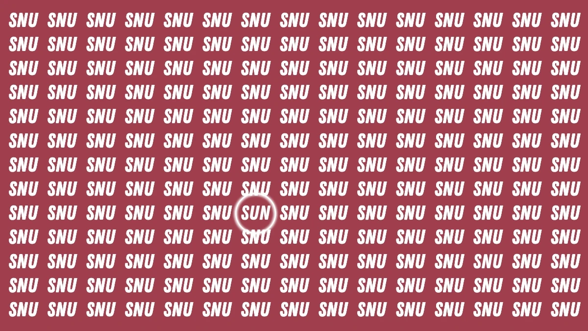 Visual Illusion: Within 7 Seconds Spot the Word SUN Among SNU