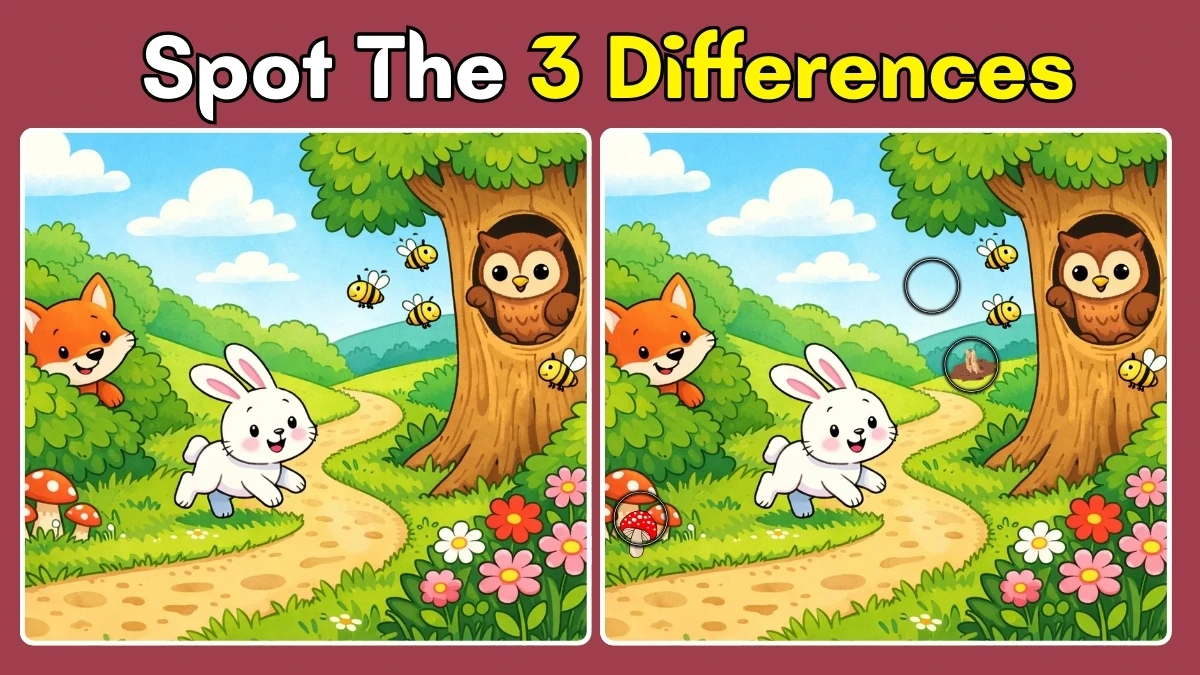 Spot the Difference Game: Can you spot 3 differences between the two images in 13 seconds?