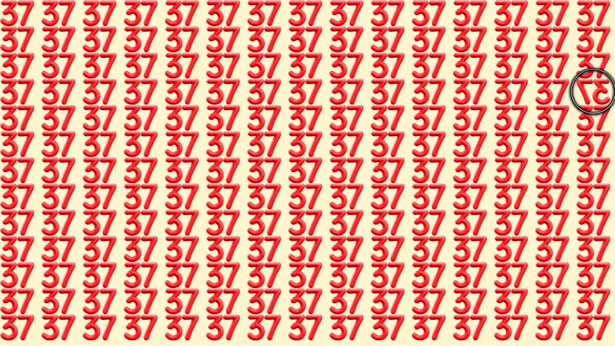 Optical Illusion: Are You A Genius? Within 7 Seconds Spot The Inverted 37 among 37