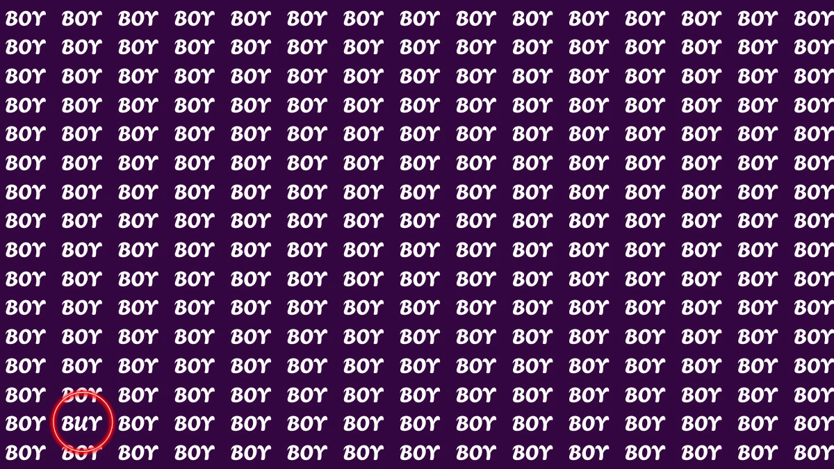 Visual Illusion: Within 7 Seconds Spot the Word BUY among BOY