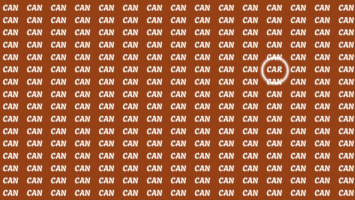 Visual Illusion: Within 7 Seconds Spot the Word CAR among CAN