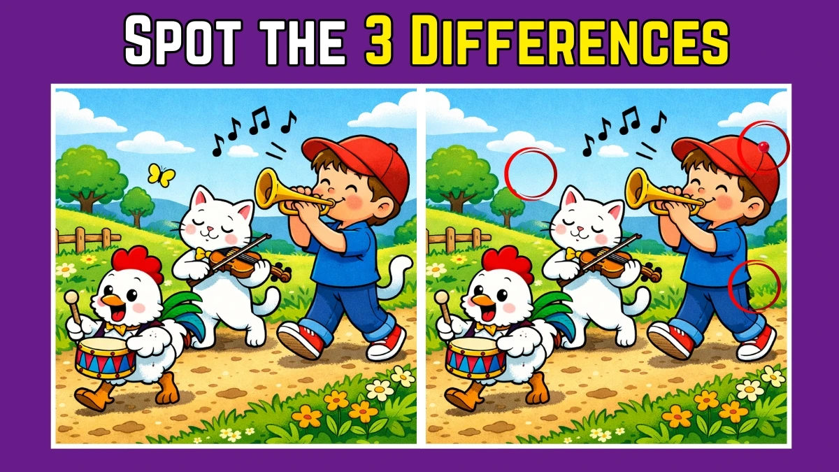Spot the Difference: Can you spot 3 differences between the Boy Playing Instruments With Animals images in 12 seconds?