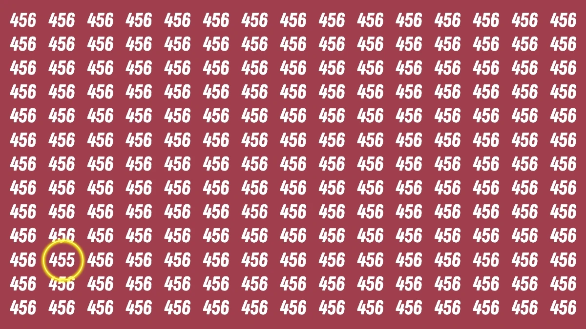 Optical Illusion 8 Seconds Challenge: Only People with Eagle Eyes Can spot the Number 455