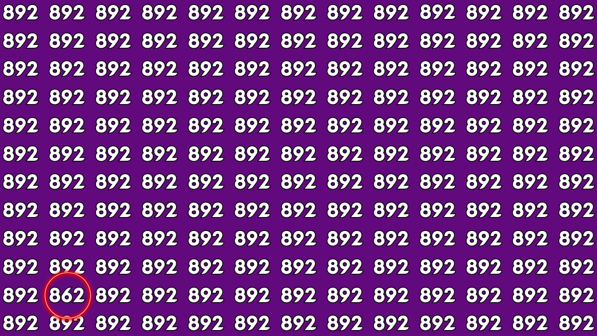 Optical Illusion Challenge: Only a Person with High IQ Level Can Spot the Hidden Number 862