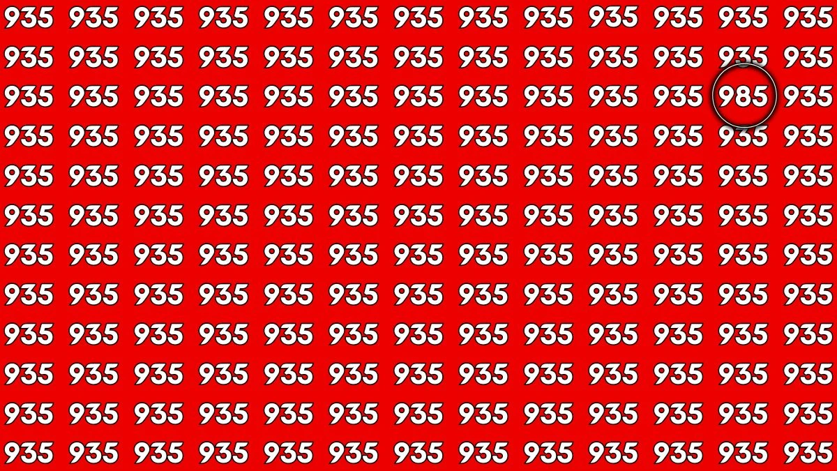 Optical Illusion Challenge: Only a Person with High IQ Level Can Spot the Hidden Number 985