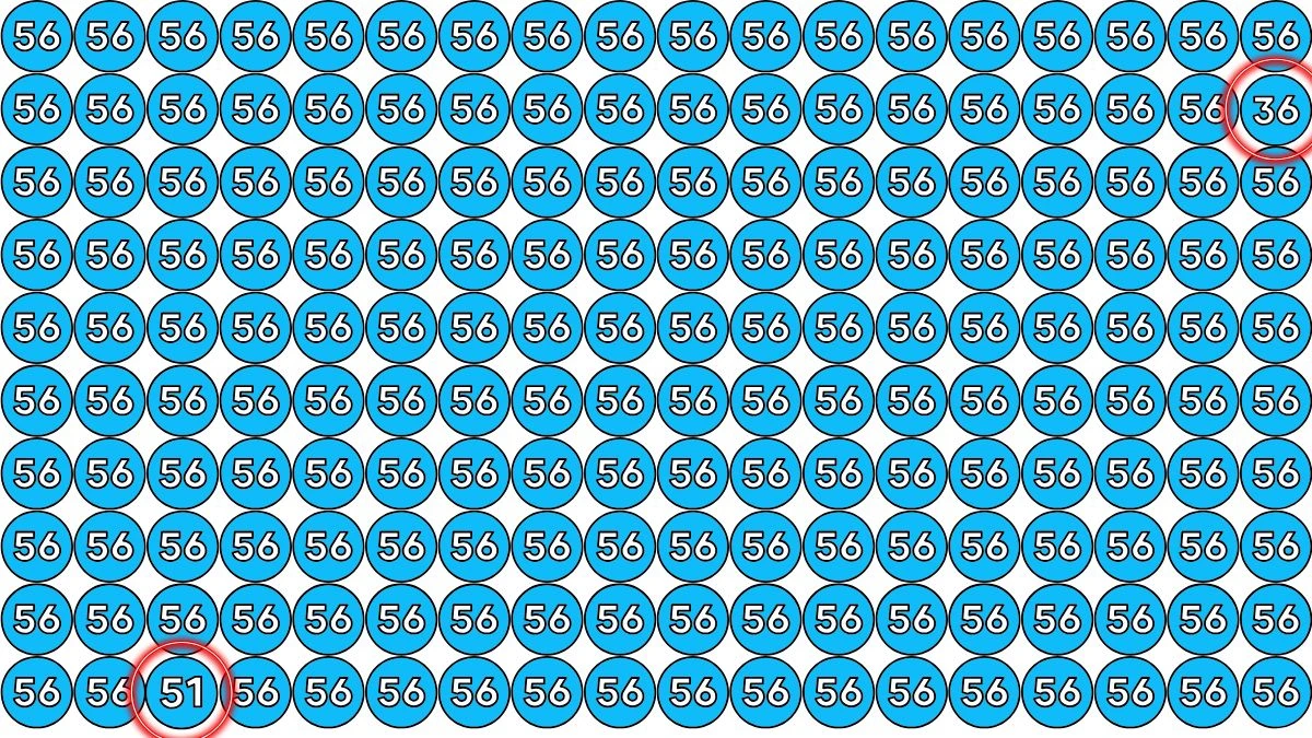 Optical Illusion Test Your Vision: Only Eagle Eyes Can Find 51 and 36 Hidden Among 56 in 9 Seconds!