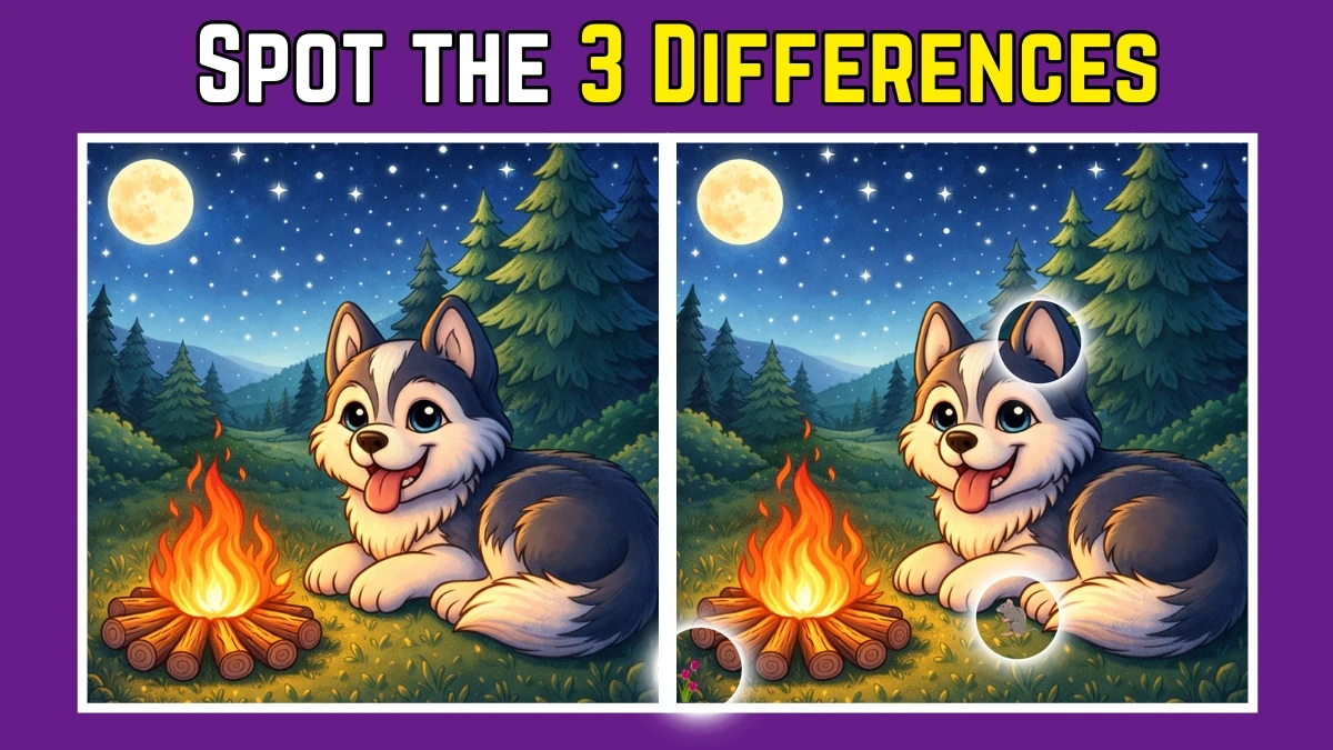 Spot the Difference Game: Can you spot 3 differences between the two images in 13 seconds?