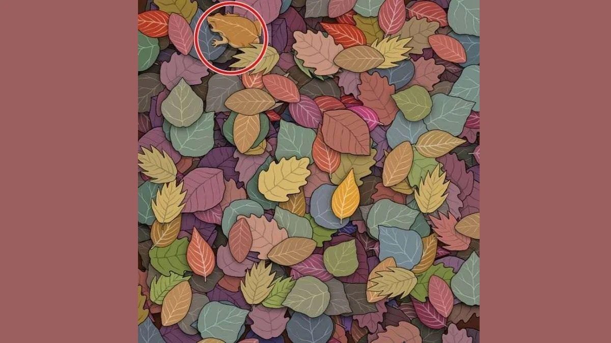 Optical Illusion Challenge: Can You Find the Hidden Frog in This Leafy Scene in 7 Seconds?