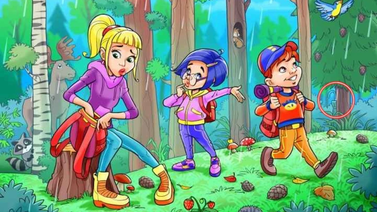 Optical Illusion IQ Test: Only a Genius Can Spot the Hidden Umbrella in This Forest Camping Scene