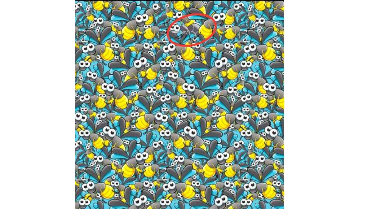 Seek and Find Challenge: Can You Spot the Hidden Ant Among the Bees?