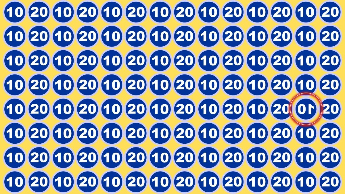 Optical Illusion IQ Test: Are You A Genius? Spot the Inverted 10 Among 10 and 20 in 12 Seconds!