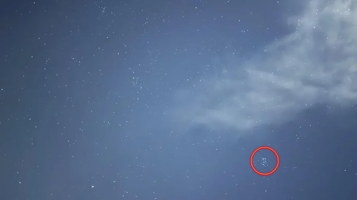 Optical Illusion IQ Test: Can You Spot The Penguin Among In 5 Seconds?