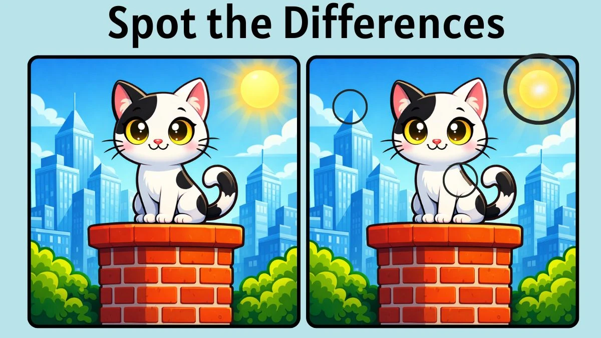 Spot The Difference: Can You Find 3 Differences in 10 Seconds? Only Sharp Eyes Can!