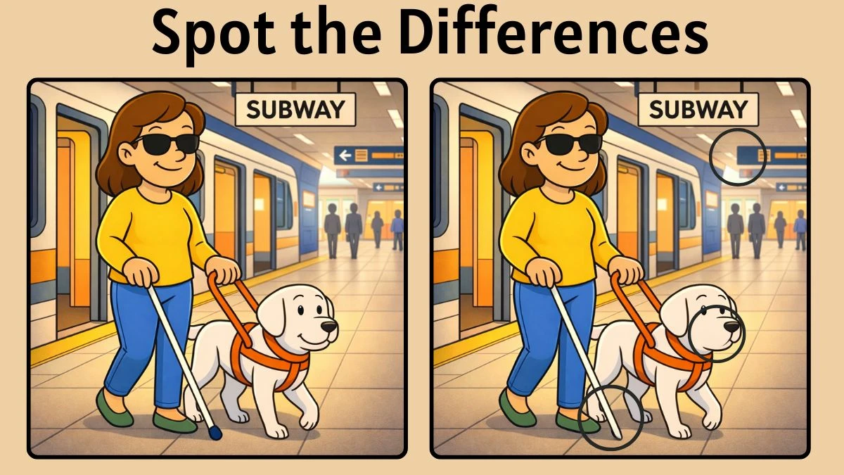 Spot the Difference Puzzle: Can You Find All the 3 Differences in 10 Seconds?