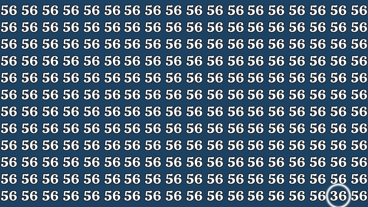 Optical Illusion Eye Test: Only Shaarp Eyes Can Spot the Number 36 among 56 in 5 Secs