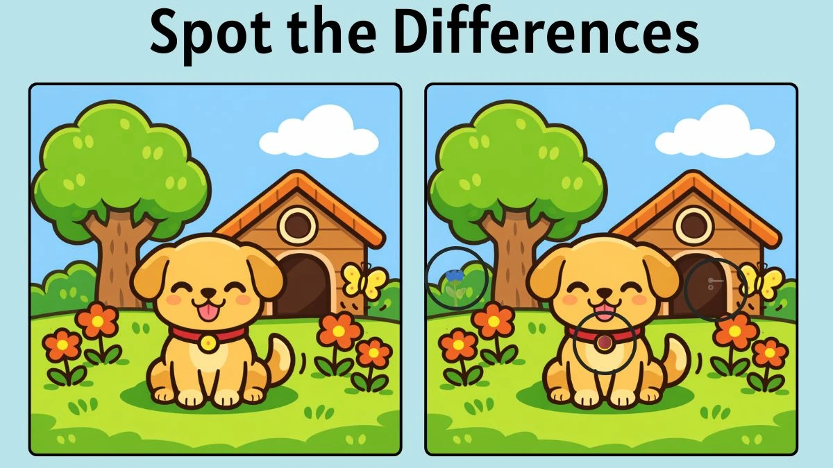 Spot the Difference: Can You Spot 3 Differences Between the Two Images in 6 Seconds?