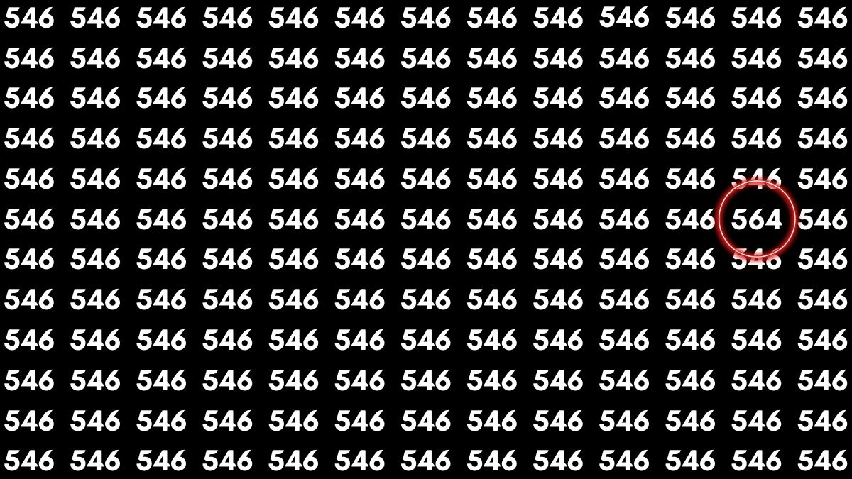 Optical Illusion Challenge: Only People with Sharp Eyes Can Spot the Number 564 Among 546 in 7 Seconds!