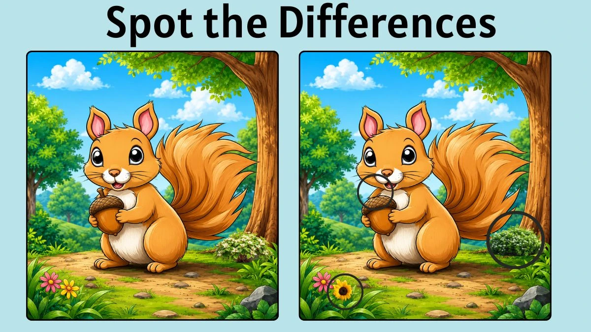 Spot the Difference Puzzle: Can You Find the 3 Hidden Differences in This Cute Squirrel Image in 7 Seconds?