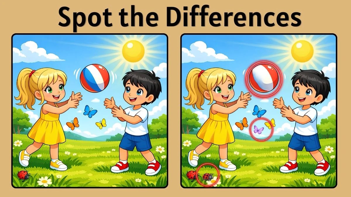 Can You Spot the 3 Differences in 10 Seconds? Test Your Observation Skills