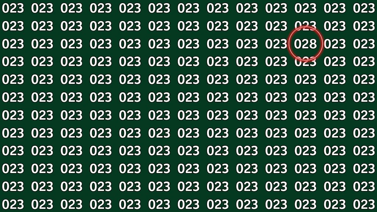 Optical Illusion Challenge: Can You Spot the Number 028 Hidden Among 023 in Just 6 Seconds?