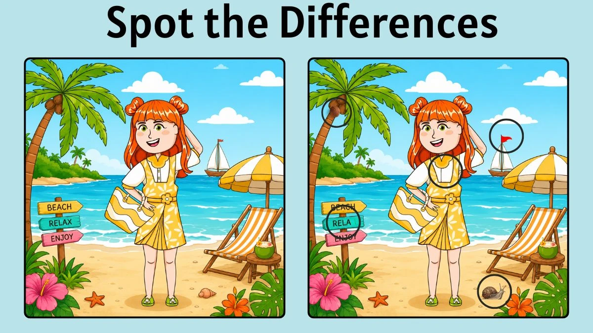 Spot 5 Differences: Cute Girl on Summer Vacation at the Beach Puzzle Challenge!