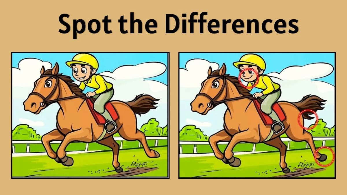Spot the Difference: Only People with Eagle Eyes Can Spot the 3 Differences in 10 Seconds
