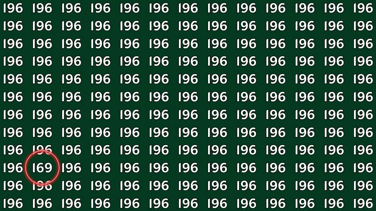 Optical Illusion Challenge: Can You Spot the Number 169 Among 196?